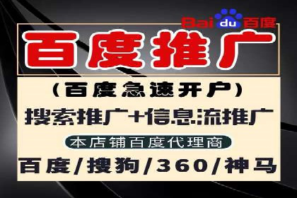 成功SEM服务案例：优化广告投放